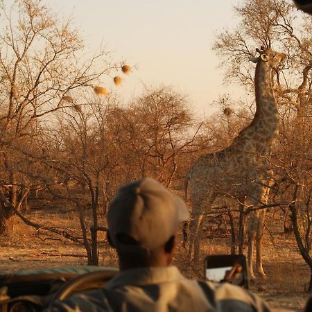 Crescent Lodge Livingstone Buitenkant foto